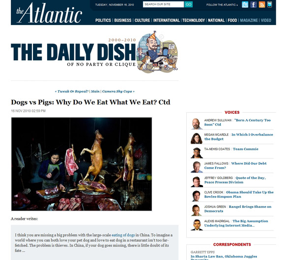 the daily dish